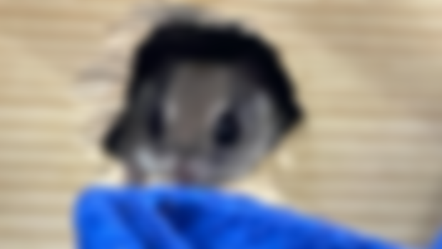 Intakes