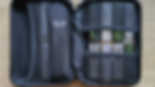 Small hard shell case for harmonicas