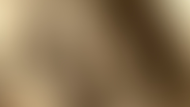 PREVIEW: of the image before animations
