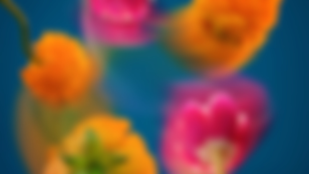 Dancing Flowers