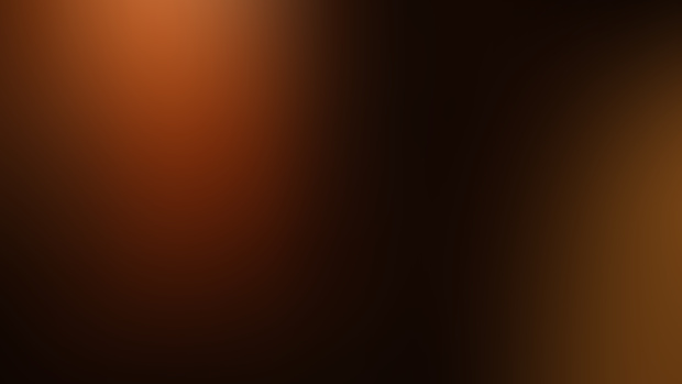 In the Light