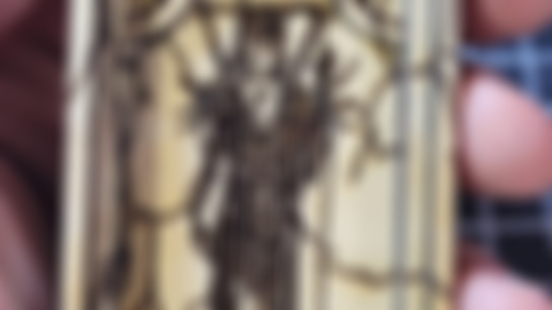An Actual Update with files