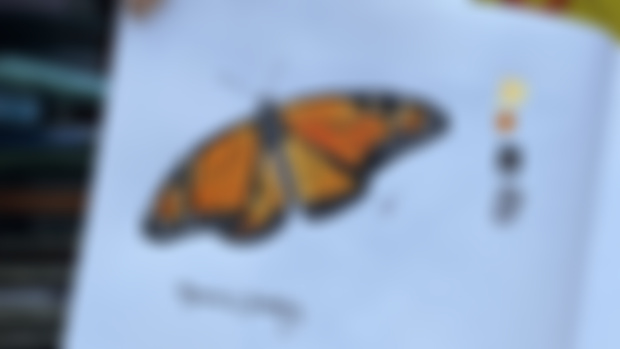 Monarch Butterfly