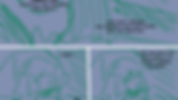 many wips