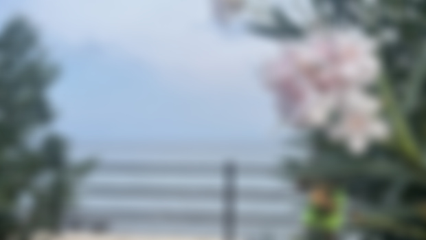 Sicily references 