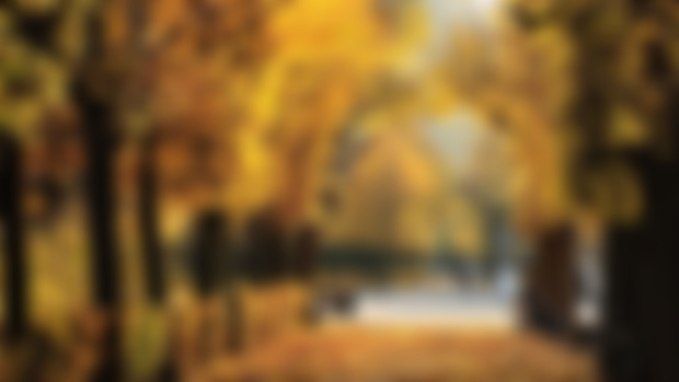 Falling into Creativity: How Autumn Sparks My Inspiration