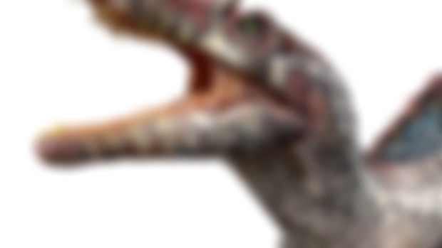 Spino Model Kit
