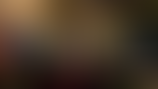 Roundscape II - Progress Report September 2024