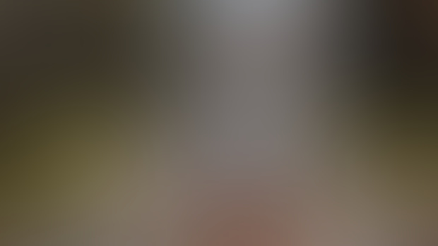 Míša na návštěvě II