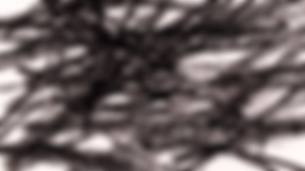 Scribble Secret: Triana's Portrait Price