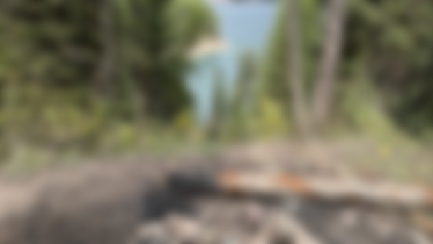 Incredible Dispersed Campsite next to Hungry Horse!