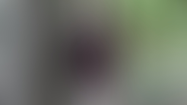 September 2024