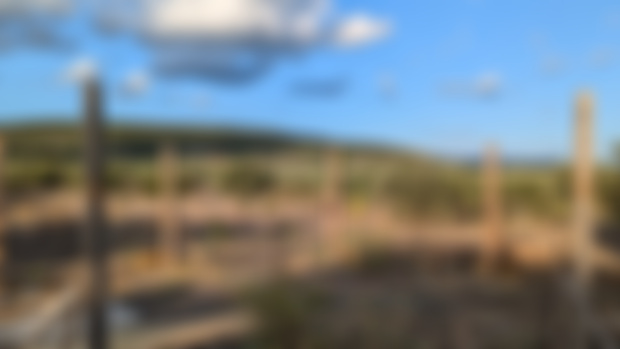 Spoiler alert! New project...