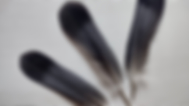 Spirit Medicine: Feathers