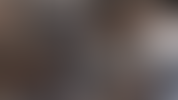 Update 0.35 Vanessa quest¡¡