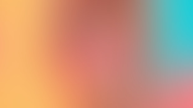 24.09.25 Ligerie+BoldColor