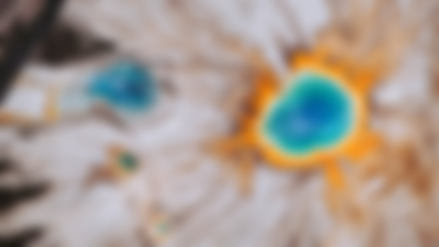 New Trip Announcement | Yellowstone with The Lore Lodge