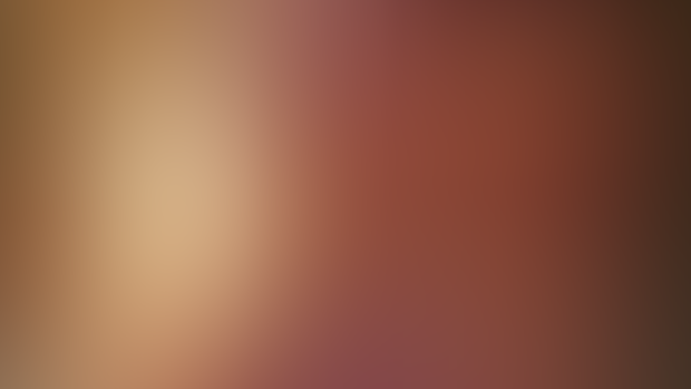 The Girlfriend Experience