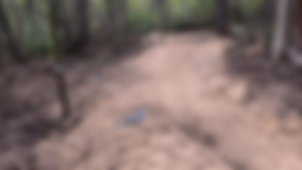 Trail Center Update 