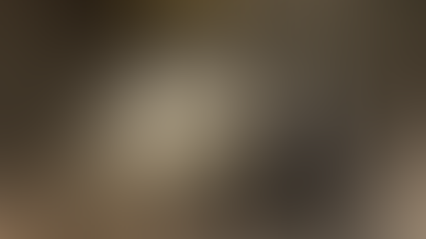 Frieren Mimic Image Set + Update