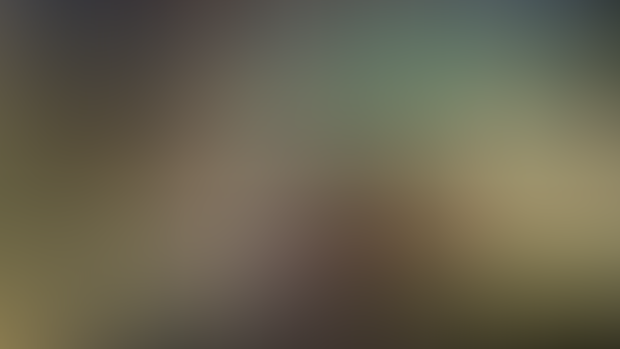 Update #39