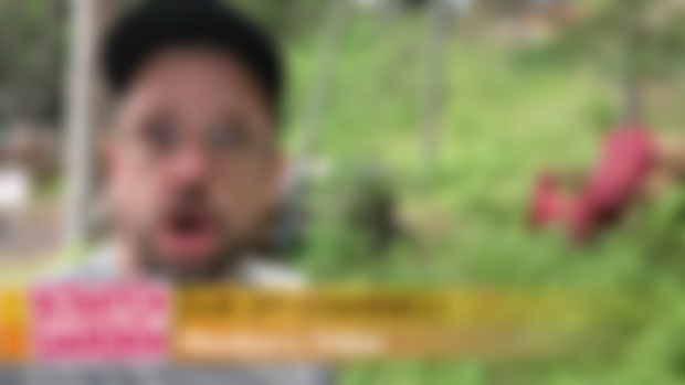 Members Video - What We Are Working On!