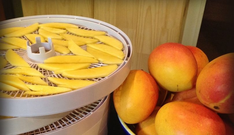 Mango Dehydrator Dehydrates The Fruit While Maintaining Its Natural Goodness!