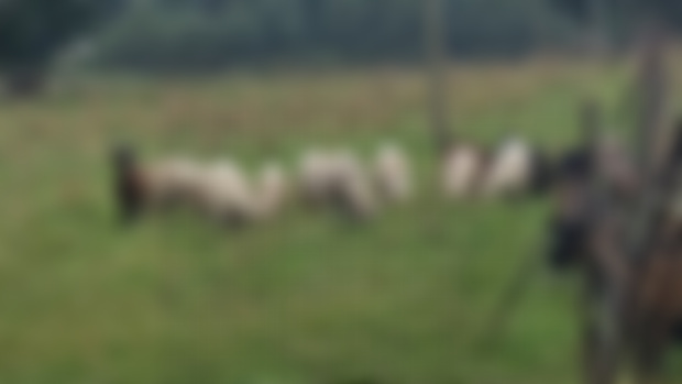 Una situazione delicata...