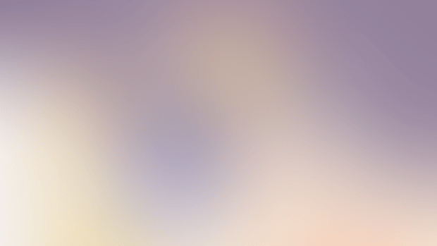 Yakumo Yukari  VS ran.mp4