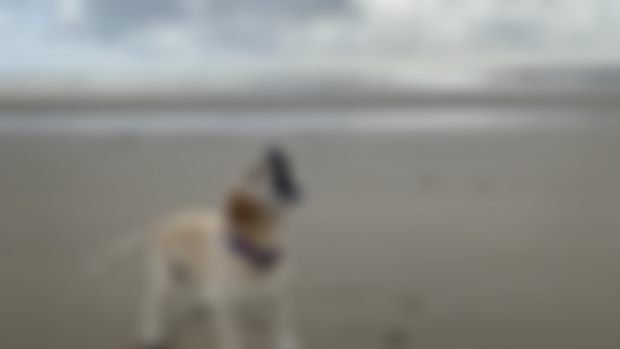 Dymchurch!