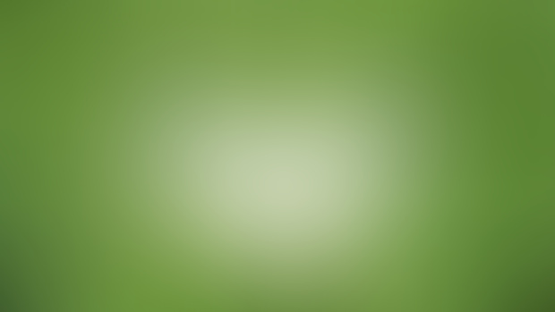 Free Essay: The Secret of Kells