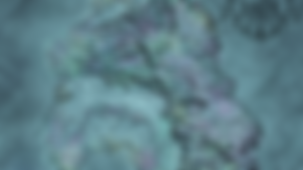 October 2024 Asset Release - Coastal & Coral Reefs