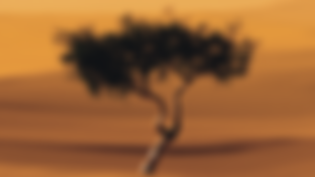 MUSIC PACK: Dunefall