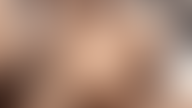 toilet_brush