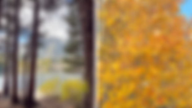 October joys + Rosemary pre-order!
