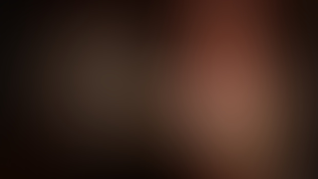 Next Update Release Date