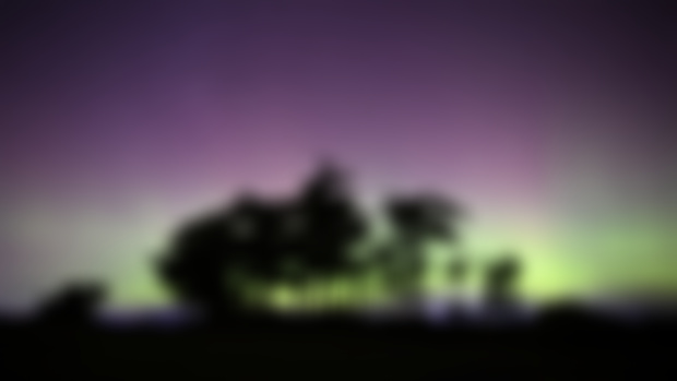 Northern Lights Rewards !