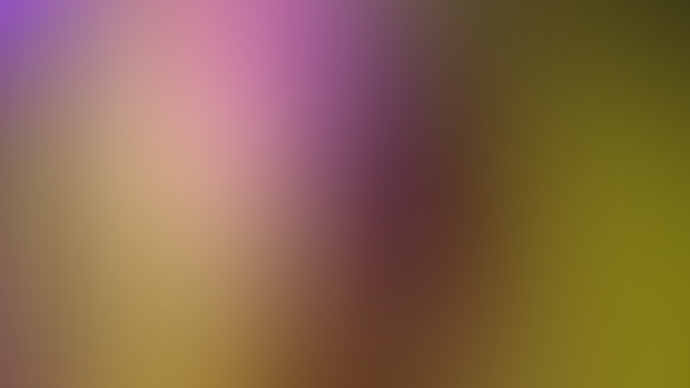 Test render