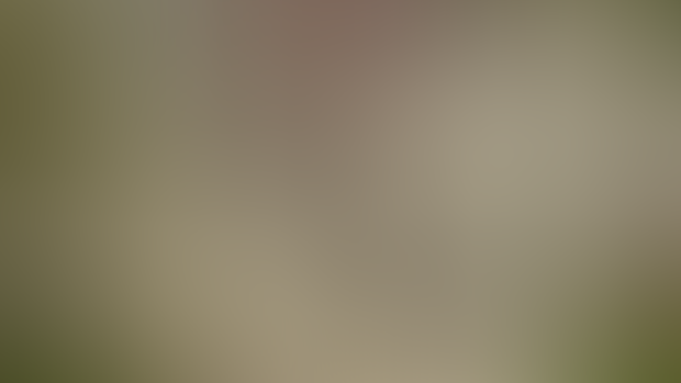A Whole Lot of Unfinished Morph + Mental Health Update