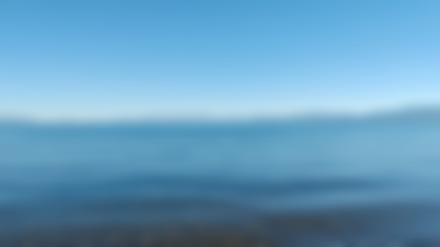 October 2024 Newsletter: Reflection on My Tahoe Big Year