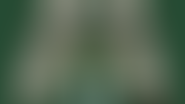[NO ADS] 271 - SoF Ch.3 - Just Three Inches