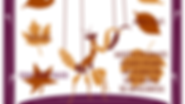 Ticket Notice: Black Cherry Puppet Theater’s November Puppet Slamwich @Black Cherry