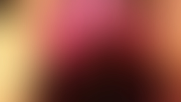 291024