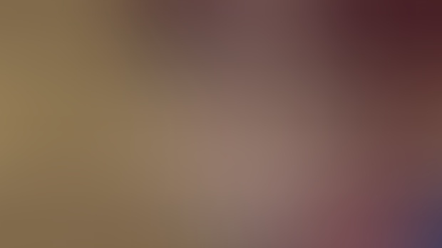 Development Diary #6