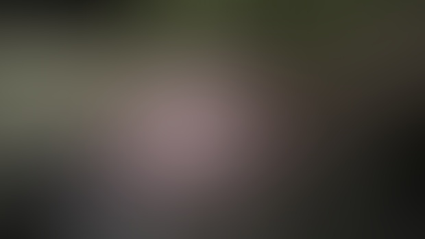 [Teaser] Progress Report