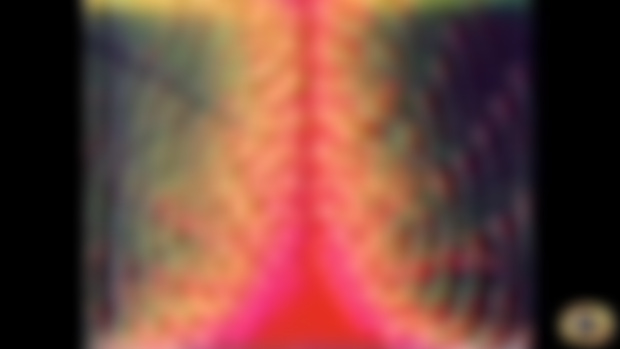 Dan Sandin - Electronic Art pioneer