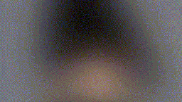 Belle Gif