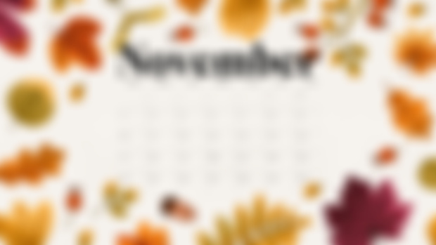 The Writing's On The Wall: November 2024