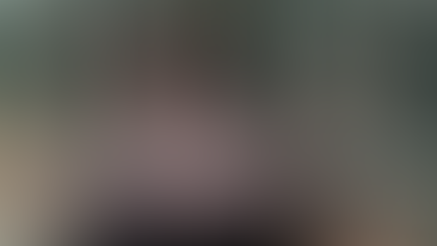 vulpine exp. glass 2025, 2