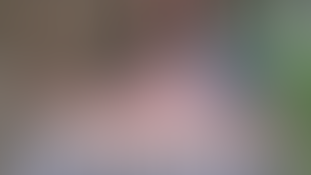 vulpine exp. glass 2025, 7
